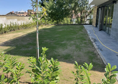 image00047